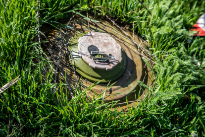 How to speed up demining. Case studies of FMC Ukraine and The HALO Trust, which help the state to solve this problem /Фото 10