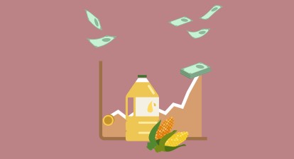 Газ, олія, цукор: чому уряд має долучитися до боротьби з інфляцією /Shutterstock