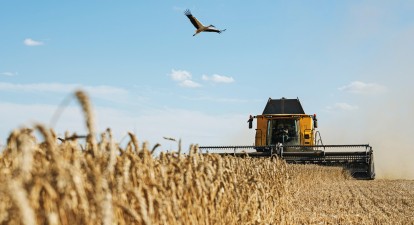 Капіталізація агрокомпанії ІМК, яка входить у десятку найбільших в Україні, зросла на 14,7%, до $160 млн /Getty Images