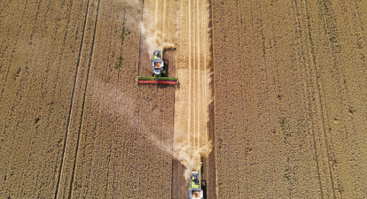 У списку 202 найбільших компаній країни 27 представляють агросектор /Getty Images