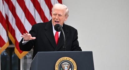 Дональд Трамп виступає в Рожевому саду Білого дому на церемонії помилування індиків до Дня подяки /Getty Images