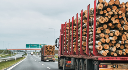 деревина Польща блокада /Shutterstock