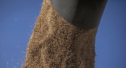 Зерновой экспорт обеспечил в апреле около половины экспорта из Украины всех товаров. /Getty Images