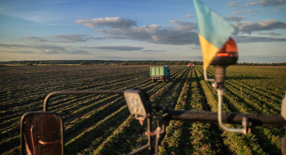 Україна експортувала рекордні 746 300 т цукру на півмільйона доларів /Getty Images