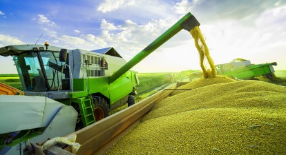 Украинское зерно может стать премиальным и обеспечить дополнительные $700 млн экспортных поступлений. Как это сделать /Shutterstock