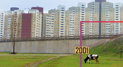 Міське господарство. На балконах квартир і у внутрішніх двориках у 2001 році кияни утримували 3000 свиней і 500 корів. /Getty Images
