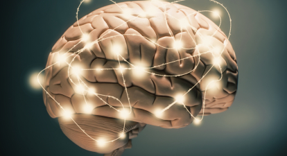 Нейропластичність мозку. 10 рекомендацій, як покращити когнітивні функції мозку та зберегти їх до старості