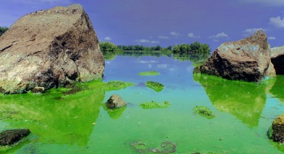 Днепр в цвету. Украинцы все меньше доверяют воде из крана, 70% которой поступает из Днепра. /Getty Images