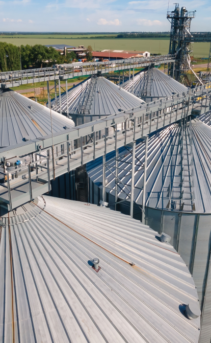 Дощі та відключення електроенергії загрожують врожаю кукурудзи в Україні – Bloomberg /Shutterstock