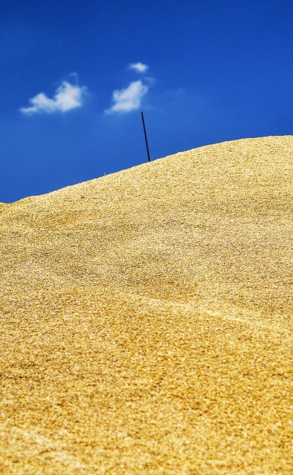 Катастрофа с голодом из-за русско-украинской войны приближается. И как предотвратить это, наверно никто не знает /Getty Images