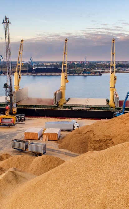 Больше украинских портов и товаров в обмен на транзит аммиака. В ООН придумали решение для спасения «зернового соглашения» /Shutterstock