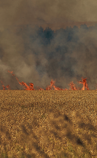 С середины июня горящие поля — частое зрелище для украинских фермеров. Фото сделано под Изюмом, Харьковская область. /Константин и Влада Либеровы LIBKOS