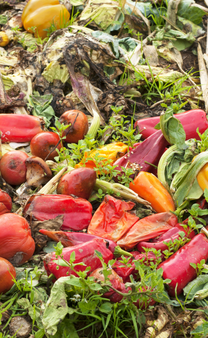 ШІ-стартап Afresh /Shutterstock