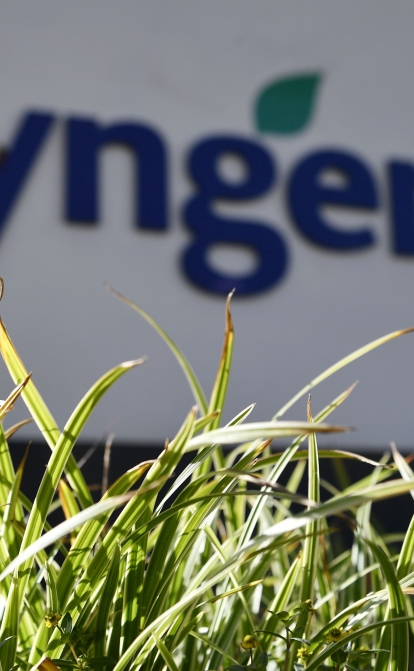 Syngenta відкликала заявку на IPO у Шанхаї. Розміщення акцій на $9 млрд могло стати найбільшим в Китаї за останні роки /Getty Images