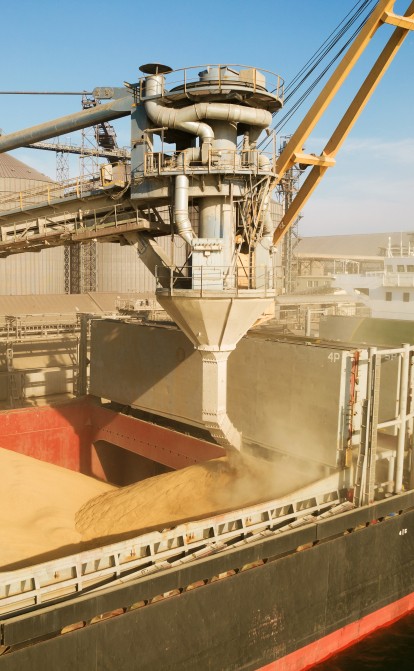 Зерно і море. Росія саботує роботу зернового коридору і нарощує власний агроекспорт. Що відбувається в портах України /Shutterstock