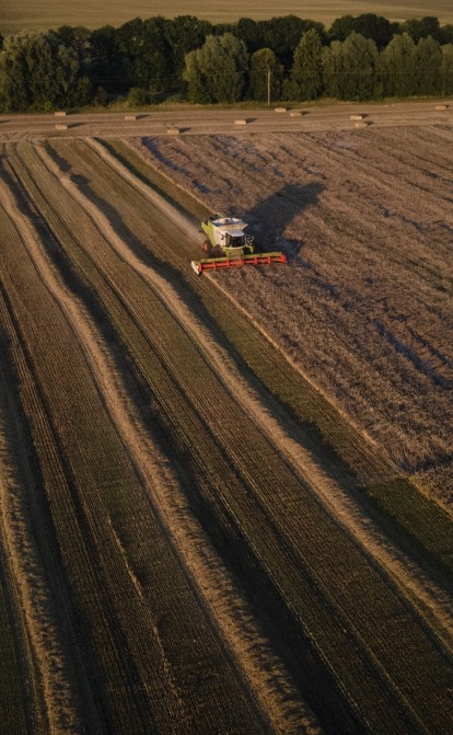 Земля для фермера – всегда хорошая инвестиция. /Getty Images