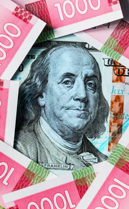 «Может пересечь отметку 28 грн/$». Доллар дорожает не только из-за российской угрозы. Где может оказаться курс в январе-феврале /Фото Shutterstock