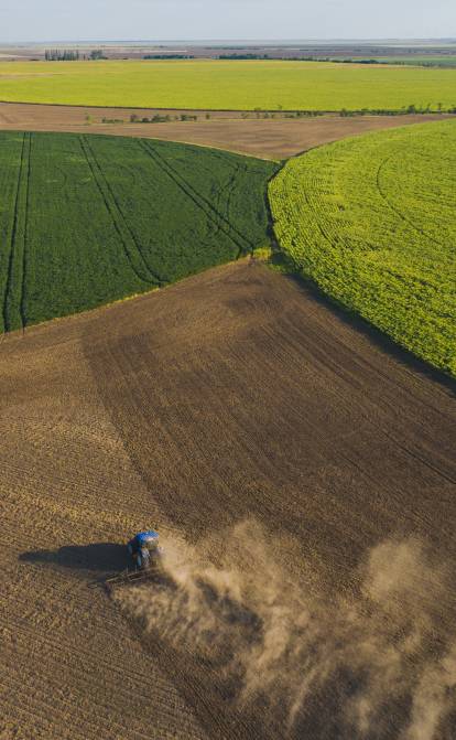 Аграрії збільшили посівні площі сої на 10%, а гречки – скоротили на третину. Інфографіка /Getty Images