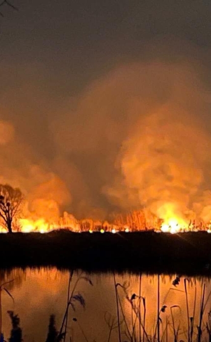 Пожежа на озері Тягле у Києві. /ГСЧС Украины