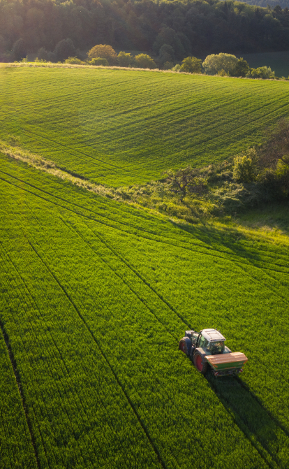 На рынке сельхозземли растут количество сделок и доля юрлиц, цены стабильные – KSE Агроцентр /Getty Images