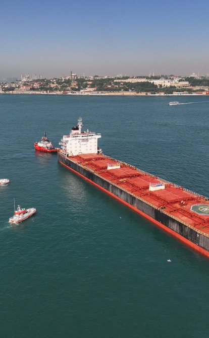 229-метрове вантажне судно ALEXIS сіло на мілину в Босфорі /Getty Images