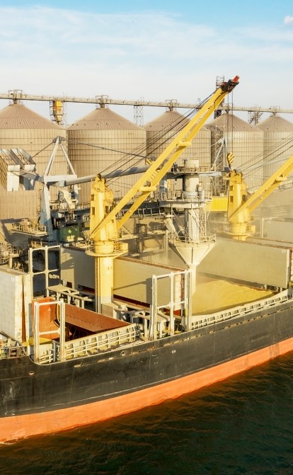 Экспорт зерна разблокирован. Что и с кем подписала Украина в Стамбуле, каковы риски соглашения и есть ли желающие заходить в Черное море? /Shutterstock