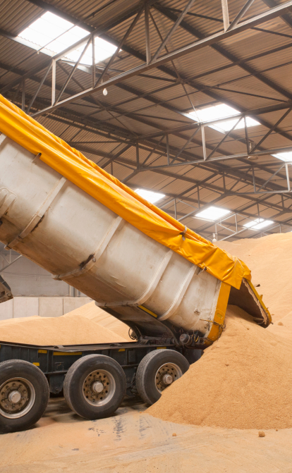 Польша не будет снимать запрет на импорт украинского зерна до разработки ЕС механизма защиты рынка – Минсельхоз /Shutterstock