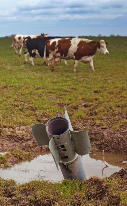 Доїння під обстрілами.&nbsp;Війна забере життя понад 300 000 корів, або Як молочні ферми пережили російську окупацію /Фото Getty Images