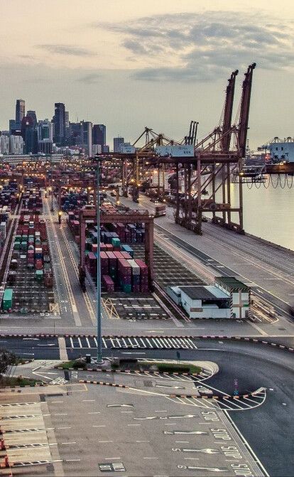 Украинский бизнес устроил настоящее паломничество в Дубай. Что его привлекает? /DR