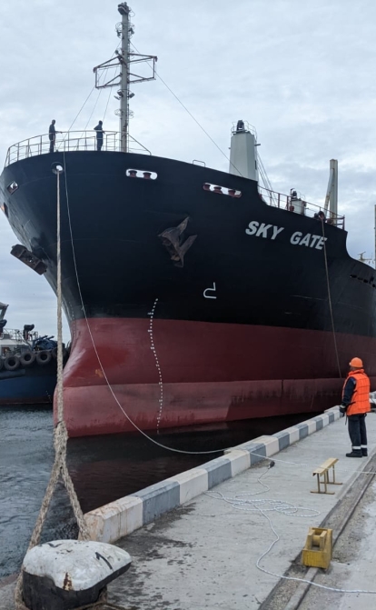 Українські порти збільшили перевалку зерна на 70% з початку року – АМПУ /Адміністрація морських портів України