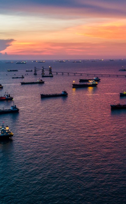 У украинского зерна новая проблема – пробка на 100 судов возле румынского Дуная. Как спасти украинский экспорт /Shutterstock