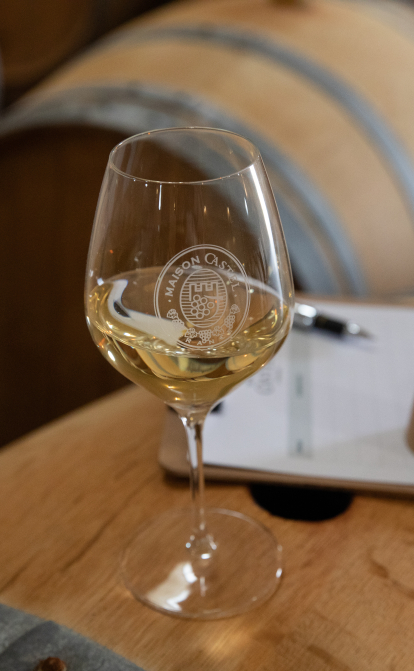 Фото надане пресслужбою Bayadera Group