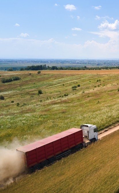 Професія — мародер. Росіяни вивезли з півдня України сотні тисяч тонн зернових. Як влаштовано пограбування в масштабах країни /shutterstock