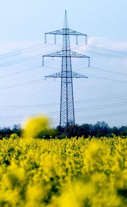 Електроенергія, ЛЕП /Getty Images