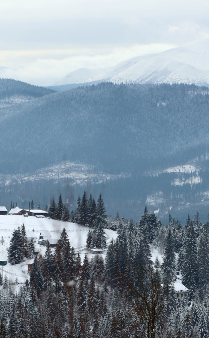 Большинство украинцев проводят отпуска внутри страны и одобряют внутренний туризм во время войны – опрос /Getty Images