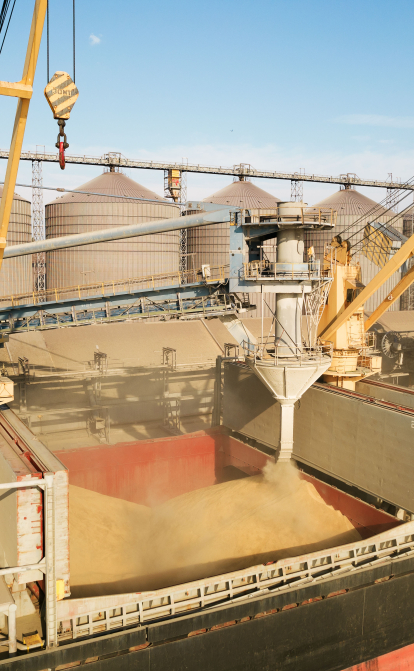 Словакия запретила продавать и перерабатывать зерно из Украины /Shutterstock