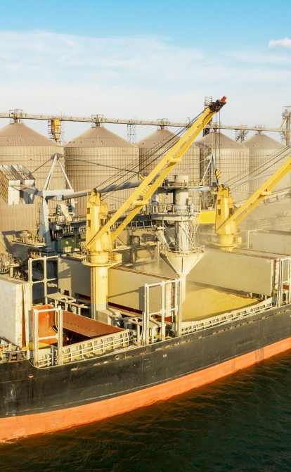 Россия отказалась продлевать «зерновое соглашение» и отзывает гарантии безопасности судоходства (Дополнено) /Shutterstock
