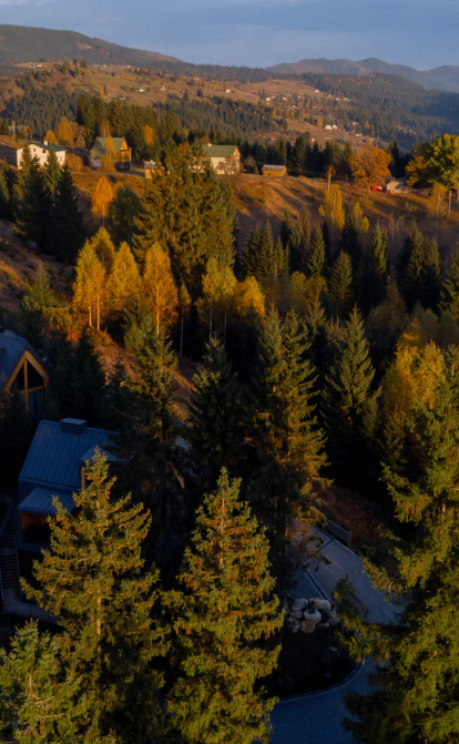 Skogur Home&Resort /надано пресслужбою