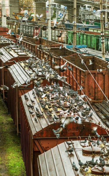 вантажні перевезення УЗ /Shutterstock