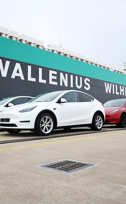 Tesla Model Y и Model 3 в порту Нанганг в Шанхае /Getty Images