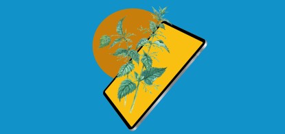Жгучая «Крапива». Как украинское программное обеспечение для артиллеристов влияет на ход войны /Фото Иллюстрация Shutterstock / Анна Наконечная