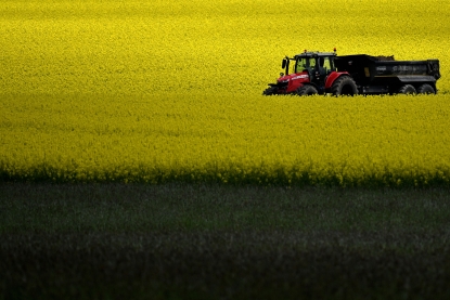 Земельна реформа. За два роки в Україні продано 1% сільгоспземель