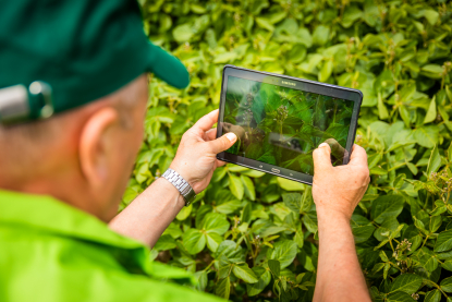 «У ІТ-компаній немає експертизи в агро». ІТ-департамент групи «Агропросперіс» продаватиме власну ERP-систему та ШІ-асистентів. Чи зможуть аграрії заробити на софті