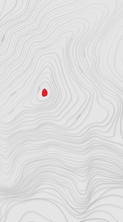 Саміт СЕО