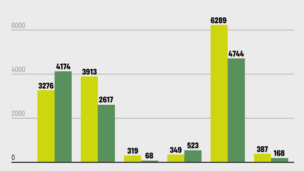 інфографіка Аліна Кохан