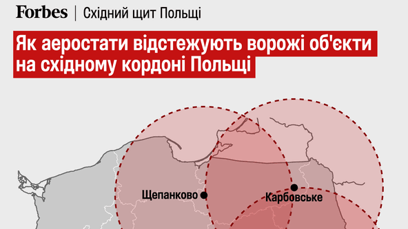 інфографіка Аліна Кохан