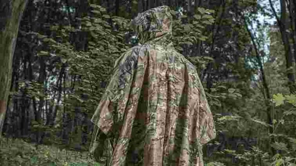 из открытых источников