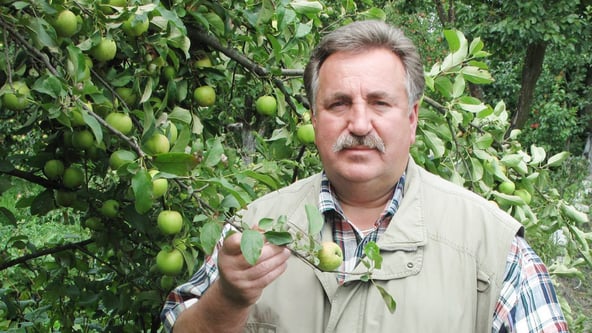 Федор Шпиг загинув 31 березня 2020 року. Його Mercedes‑Benz GLS 350 розбився на 215‑му кілометрі траси Київ – Чоп. Фото з facebook сторінки Федора Шпига