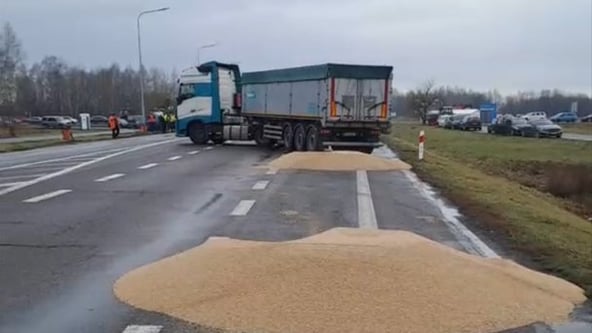 В Польше возбуждено дело относительно рассыпанного украинского зерна. Аграрный министр извинился за действия фермеров