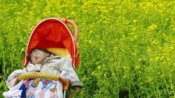 Getty Images